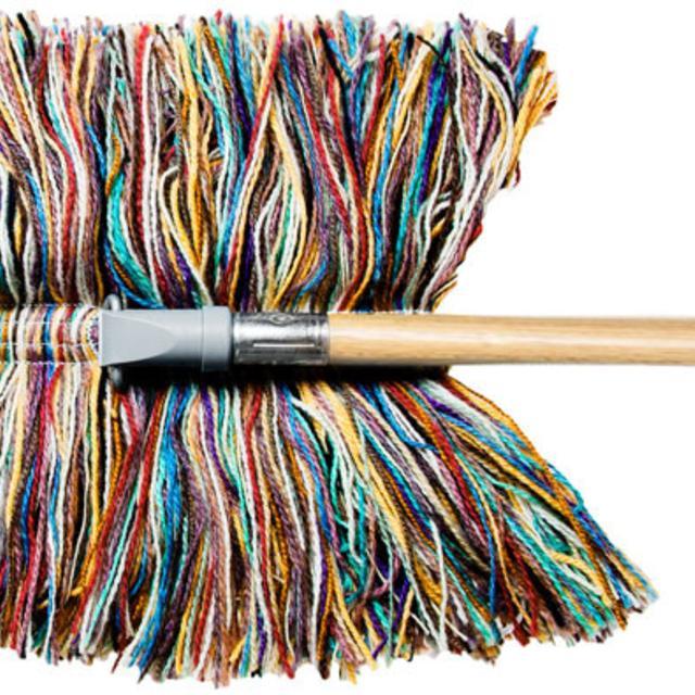 Wool Dry Mop