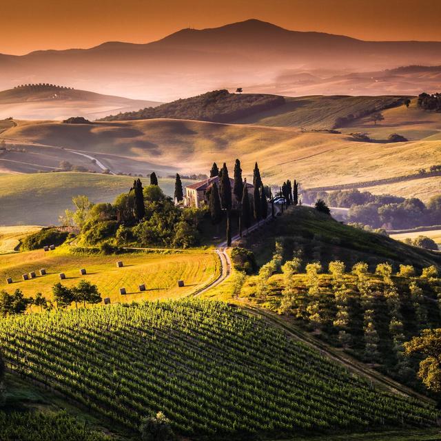 Wine Tasting in the Tuscan Countryside