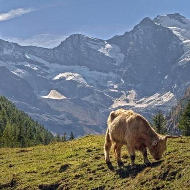 Misc. Activities in Scottish Highlands