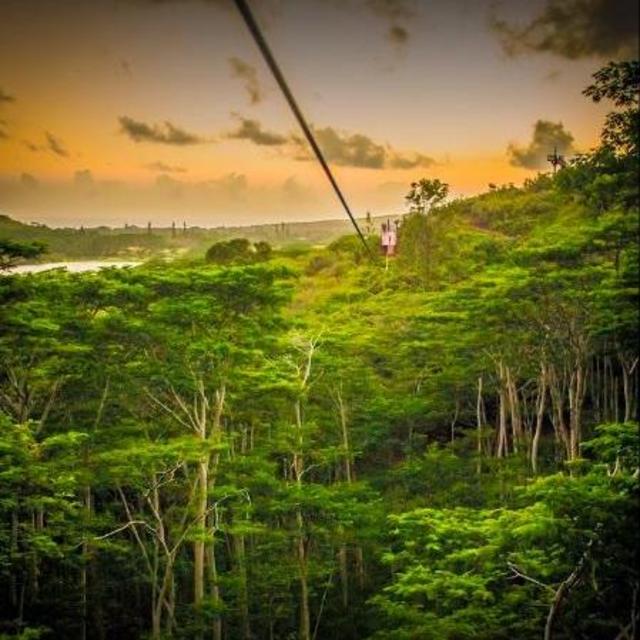Ziplining!