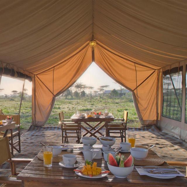 Safari Lunch