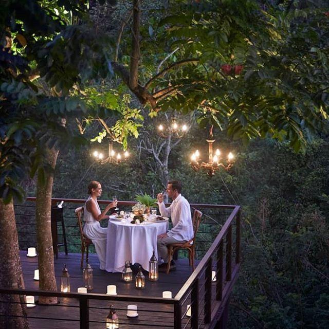 Romantic, Private Forest Dining for Two
