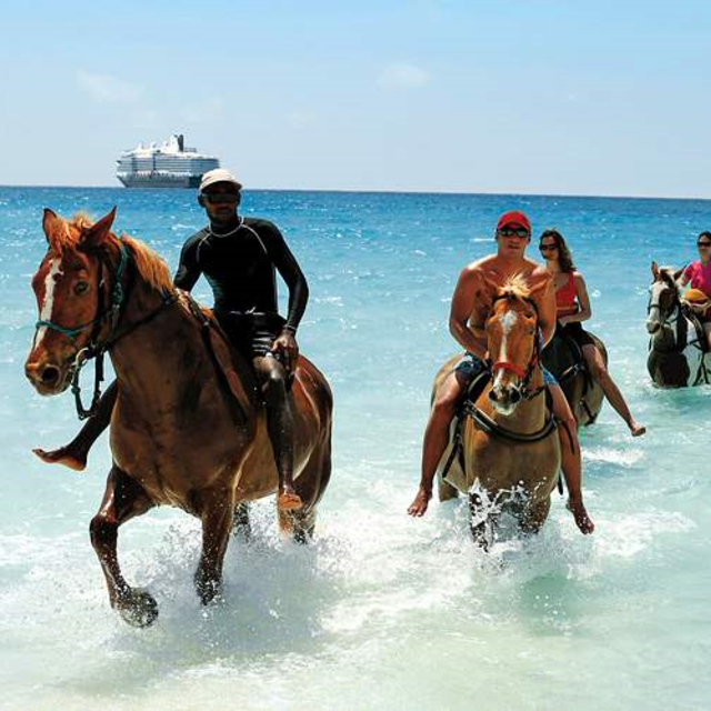 Horseback Riding on the Beach