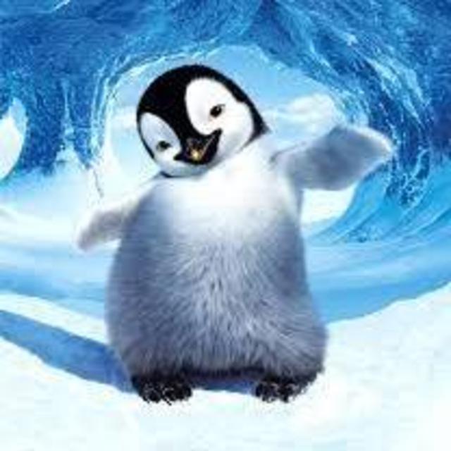 Patty-Cake with Penguins