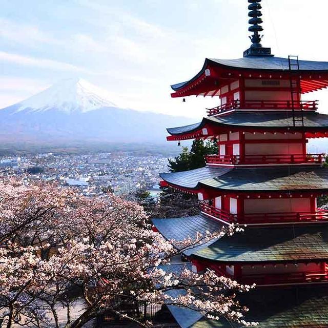 Our Honeymoon in Japan