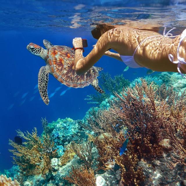 Snorkeling in Molokini