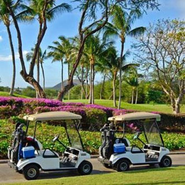Max golfs while Talia gets a massage