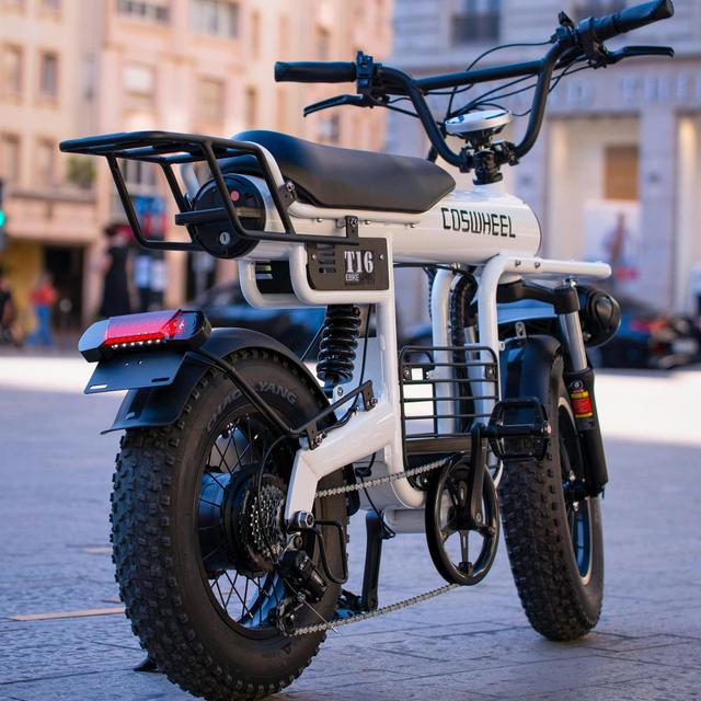 Electric Bike Rental in AZ