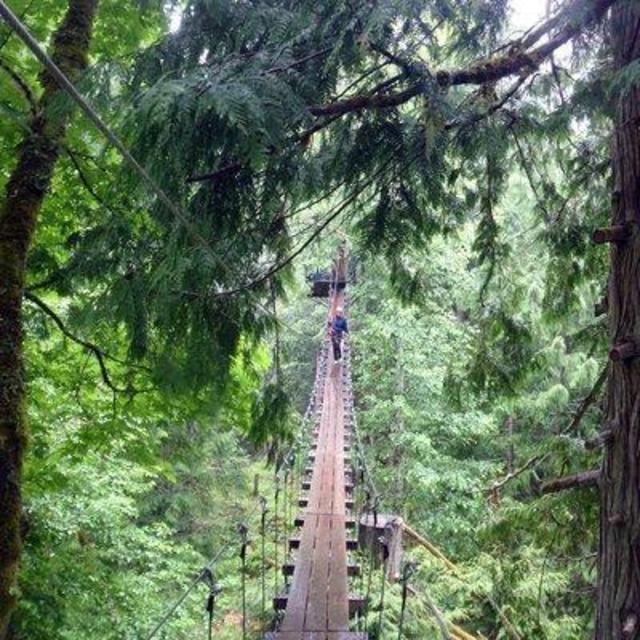 AdrenaLINE Zipline Tour in Victoria