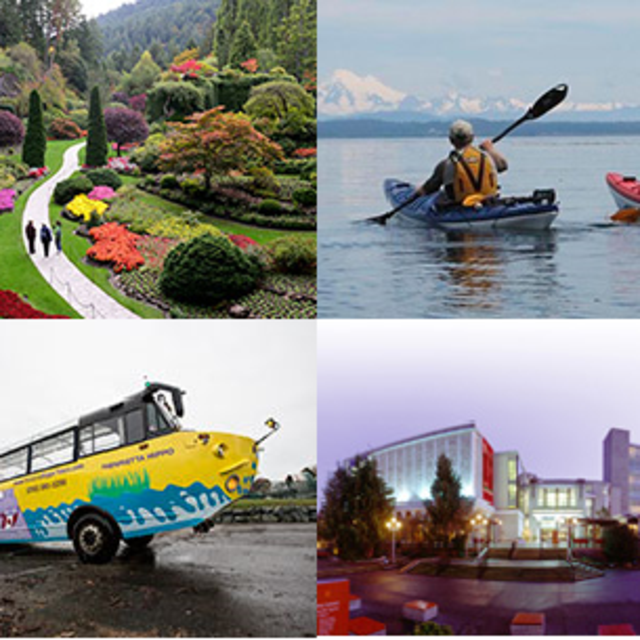 Other Honeymoon Adventures