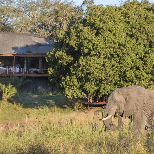 Dulini River Safari