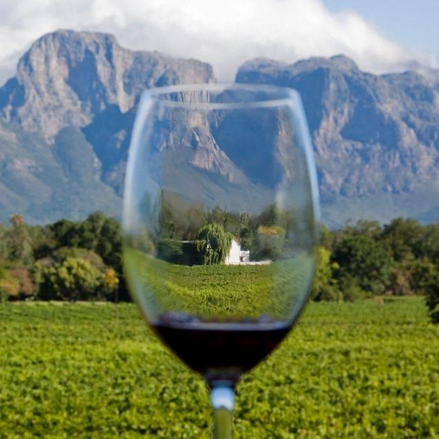 Cape Winelands Tasting Tour