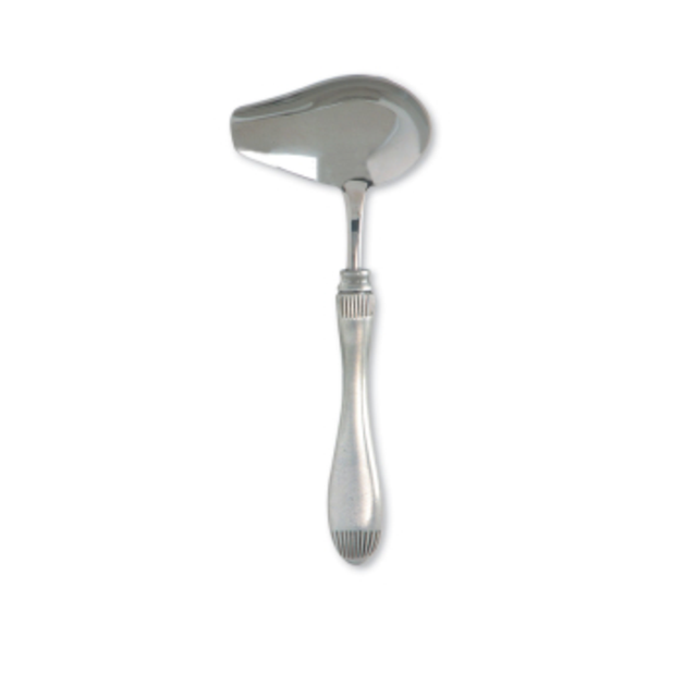 Daniela Pewter  Sauce Spoon
