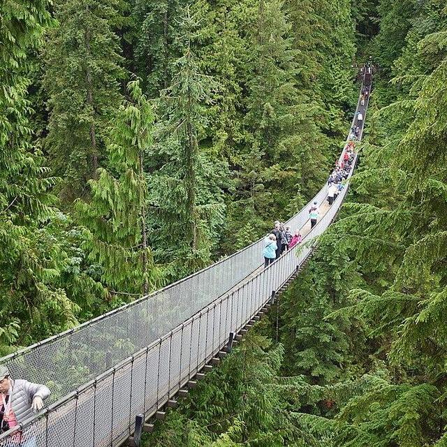 Capilano suspension bridge park ticket