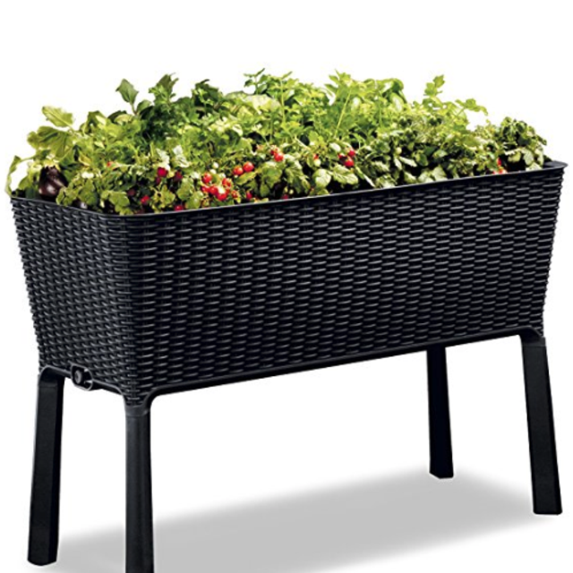 Keter 238699 Easy Grow Elevated Garden Bed, Anthracite