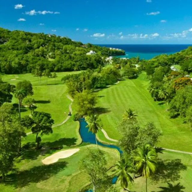 Honeymoon Golf Outing