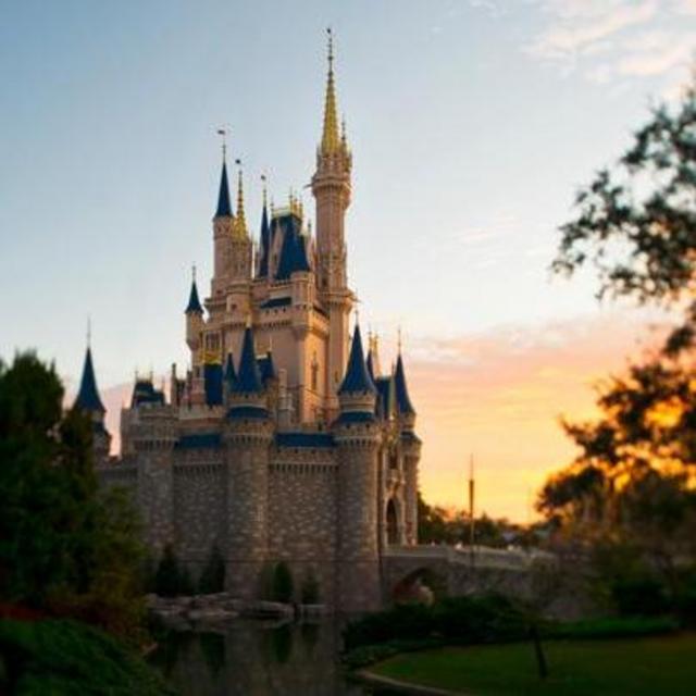 Our Dream Disney Honeymoon Fund!