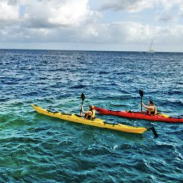 Kayak Adventure