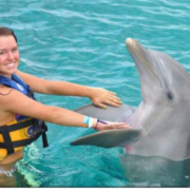 Swimming with Dolphins