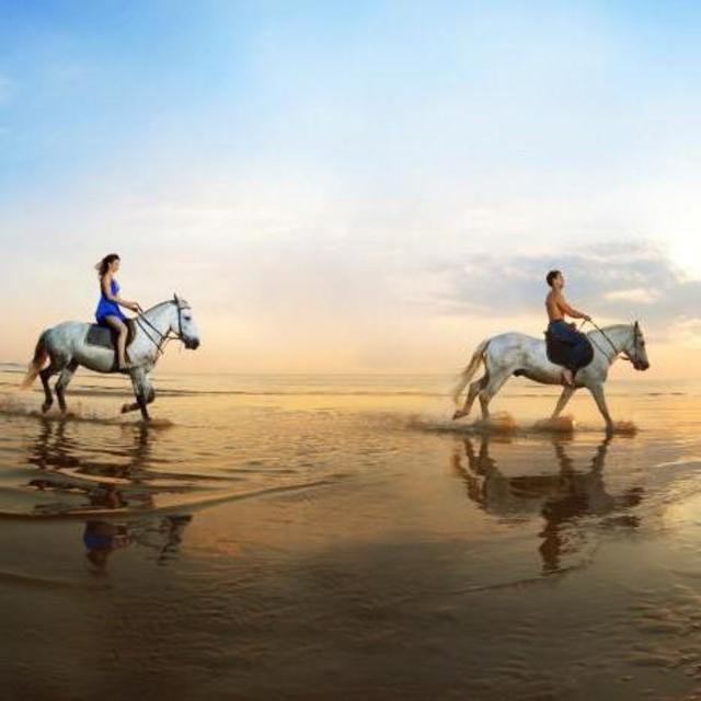 Horseback Riding