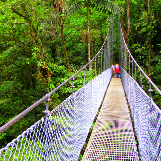 Hiking the Arenal Skybridges