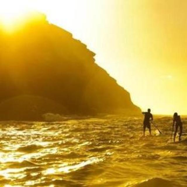 Paddle Boarding Adventure