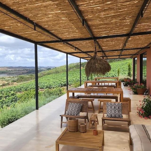 Wine Tasting in Portugal