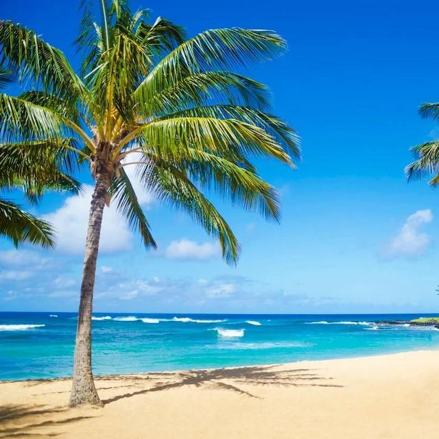 Hawaii Honeymoon Fund