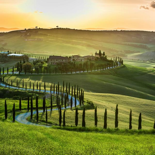 Day Trip to Tuscany