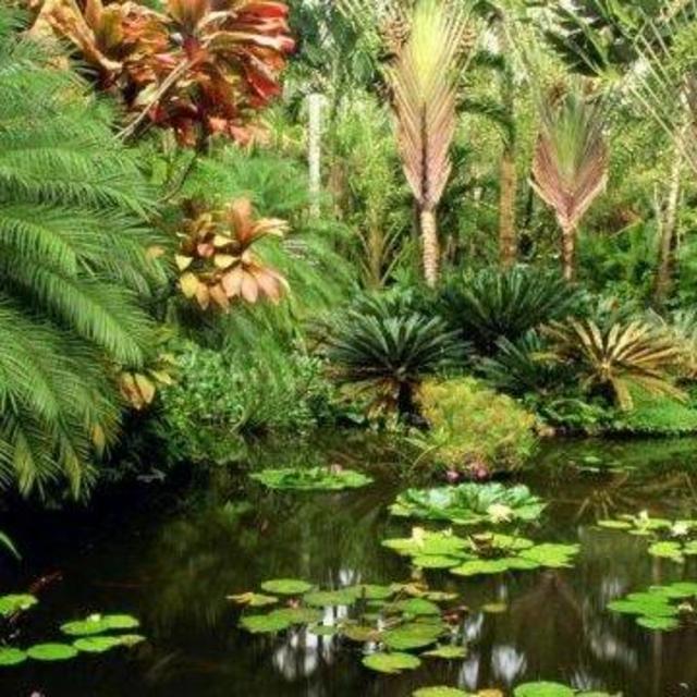 Hawaii Tropical Botanical Gardens Tickets and Lunch