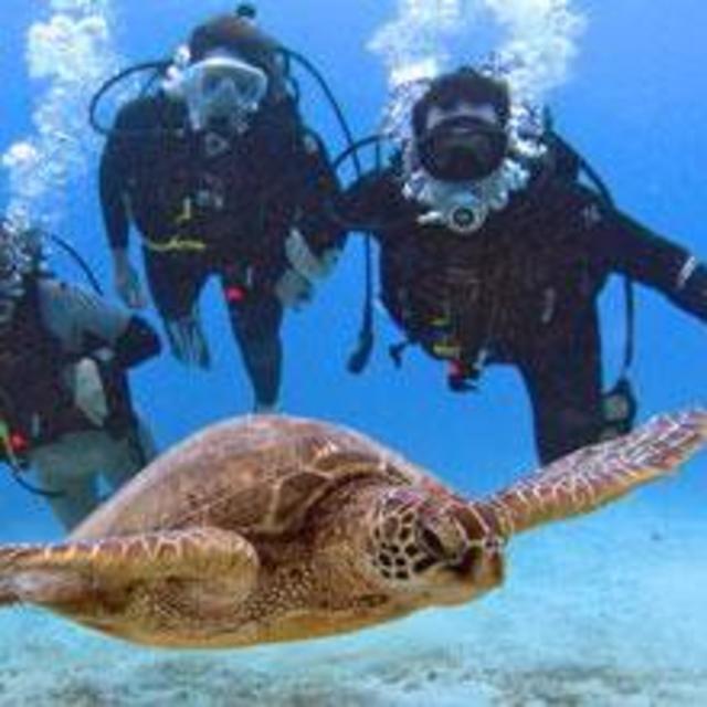 Scuba Diving
