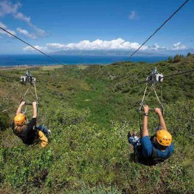 Ziplining In Maui