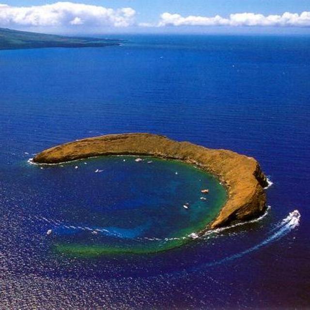 Snorkeling Tour