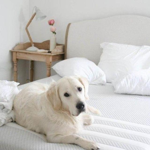 NEW MATTRESS!!