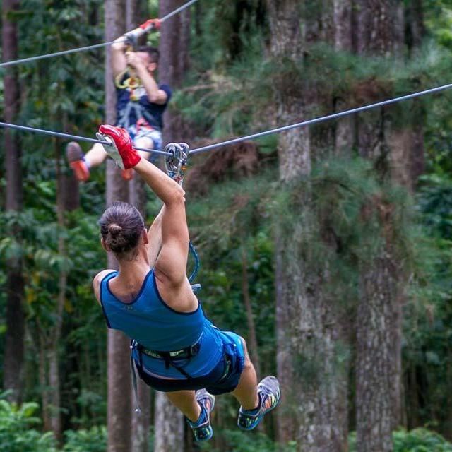 Zipline and Aerial Adventure in Mo'orea