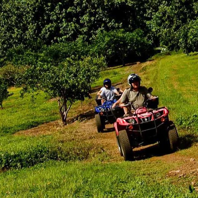 ATV Tour in Mo'orea
