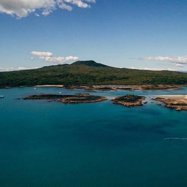Rangitoto Island Volcano Tour in New Zealand
