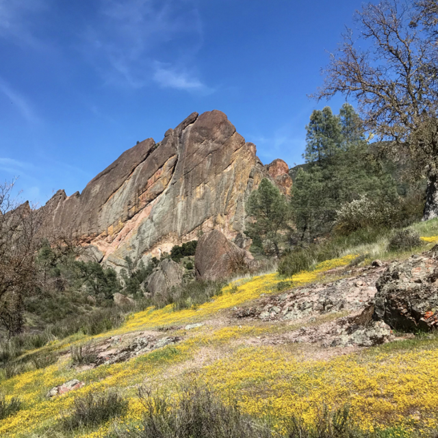 Bike Tune Ups & Gear
