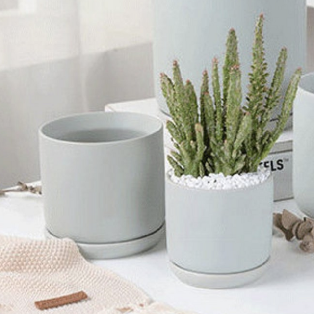 Matte Ceramic Plant Pot with Saucer
