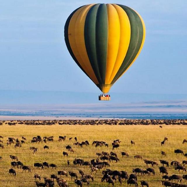 Hot Air Balloon Ride