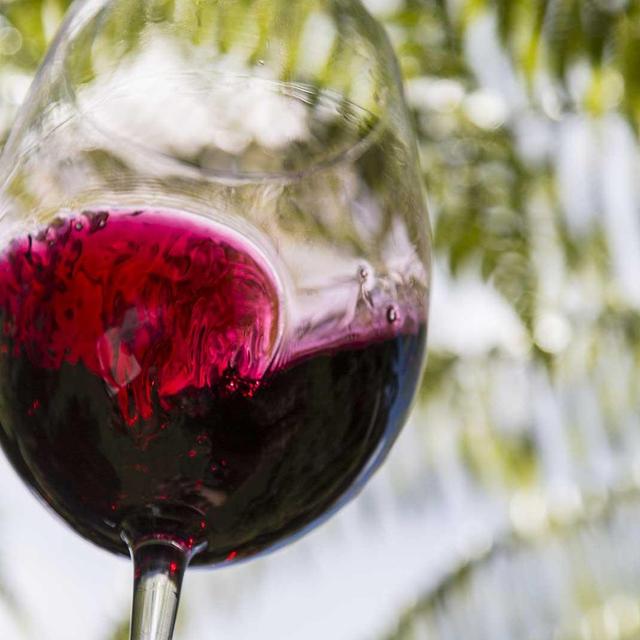 Waiheke Island | Two Tickets to a Vineyard & Artisan Food Tour