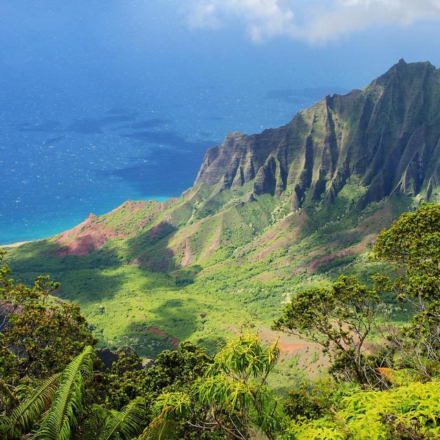 Hawaii Honeymoon Fund!