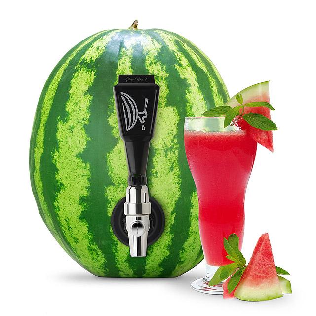 Fruit Keg Tapping Kit