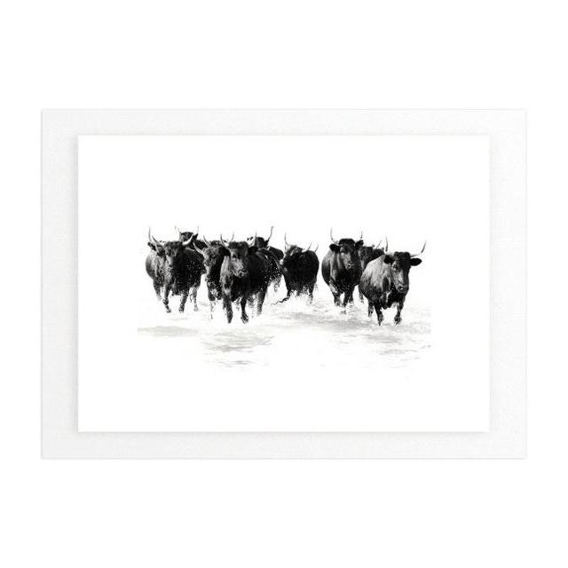 "Black Bulls of the Camargue" 40x30 Photograph with Distressed Cottage White Frame
