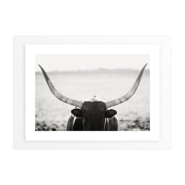 "Staredown" 7x5 Photograph and White Wood Frame