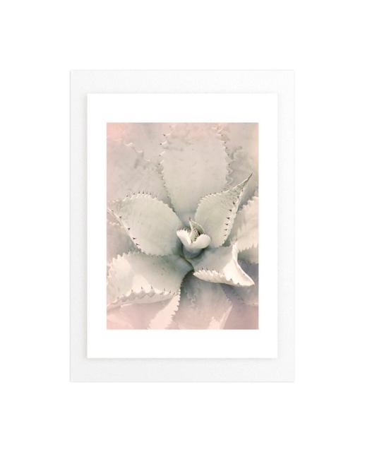 "Southwestern Succulent" 8x10 Photograph with White Wood Frame