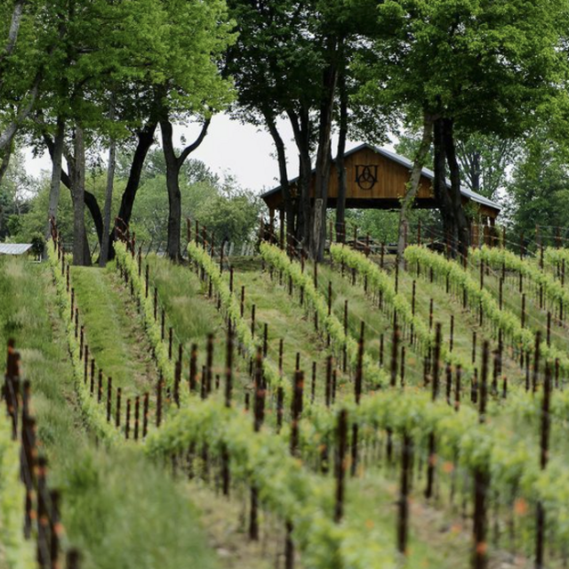 Dodon Wine Club Membership