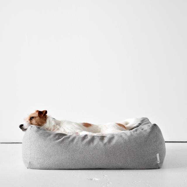 Zz Bed - Medium