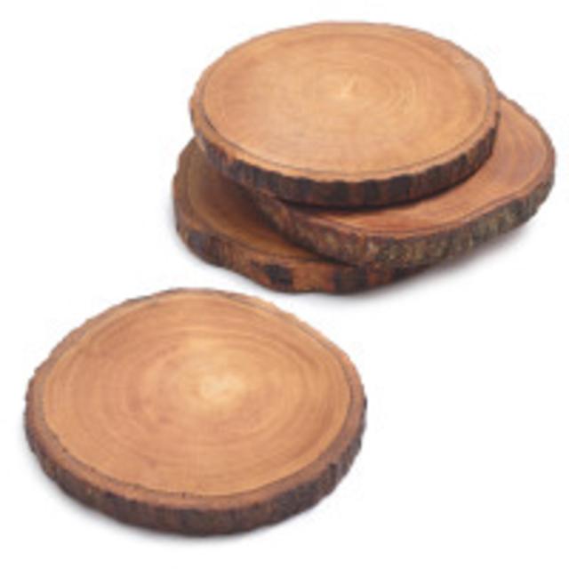 Wood Slice Coasters set of 4