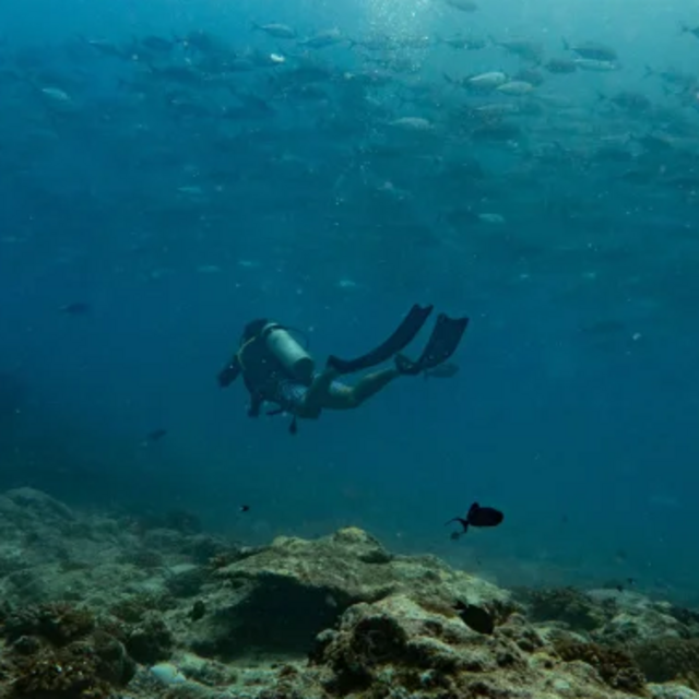 Scuba Diving in Huahine